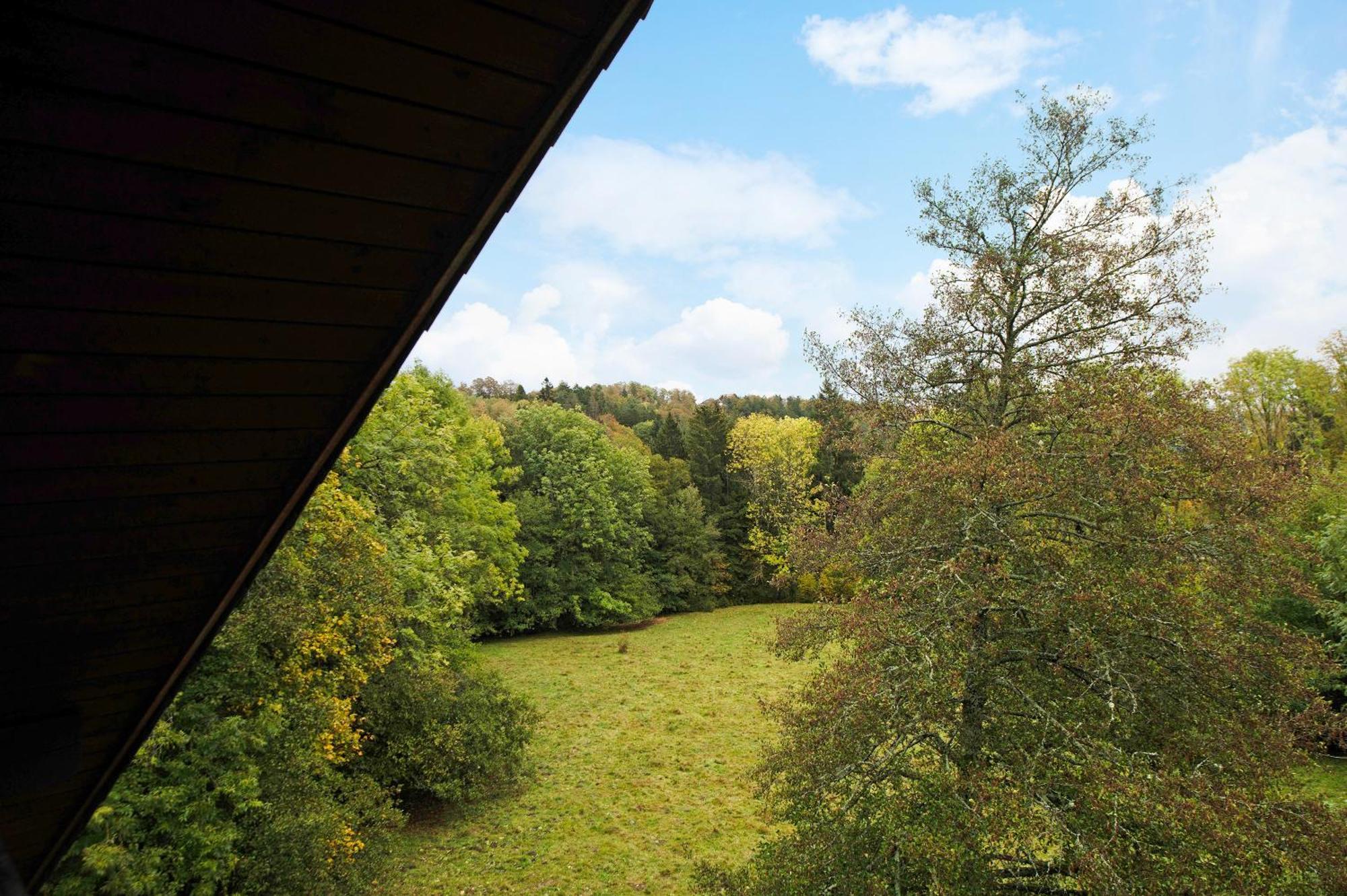 Landhaus Am Schmiedebach Wittenschwand Exterior photo